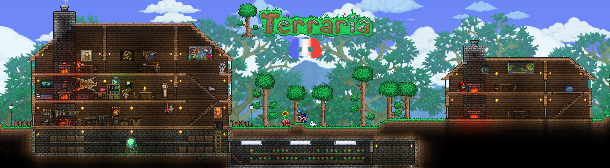 Terraria FR